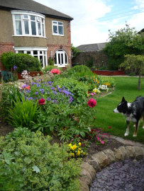 Landscaped garden